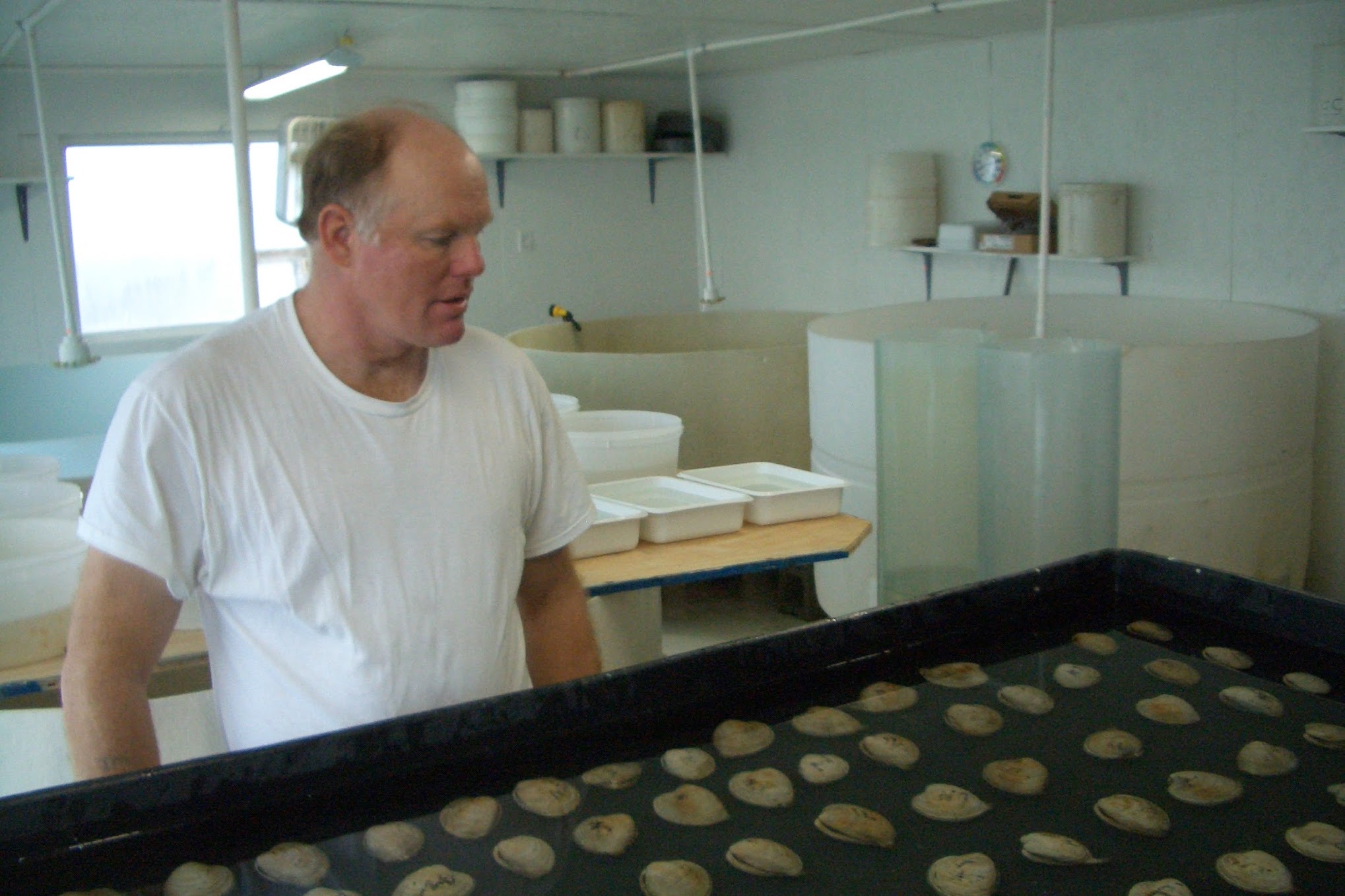 Jimmy in the Hatchery