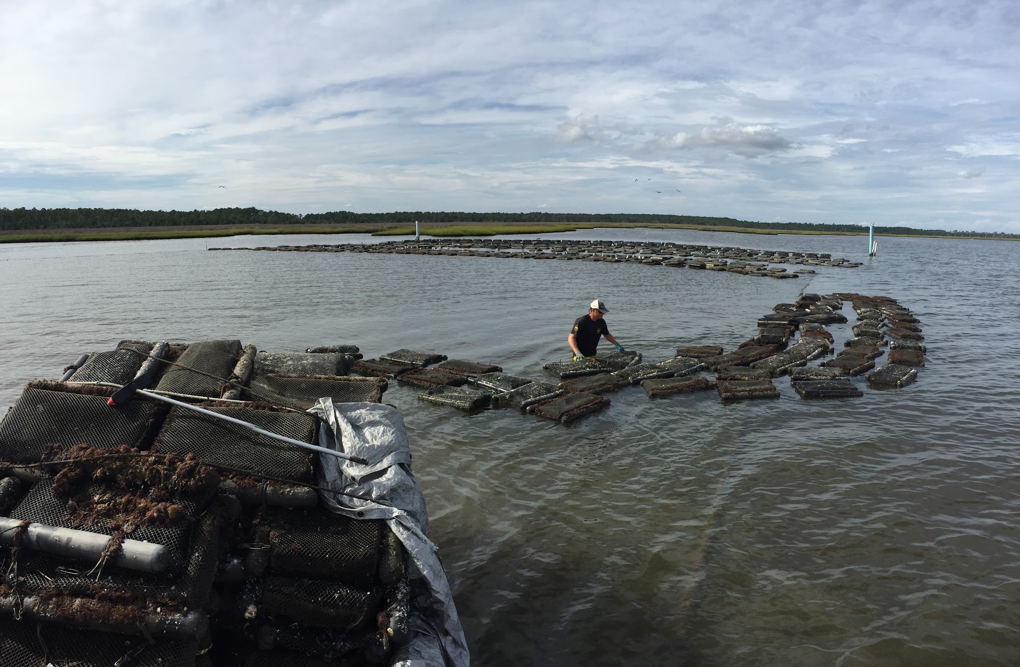 Rebuilding the farm after a hurricane