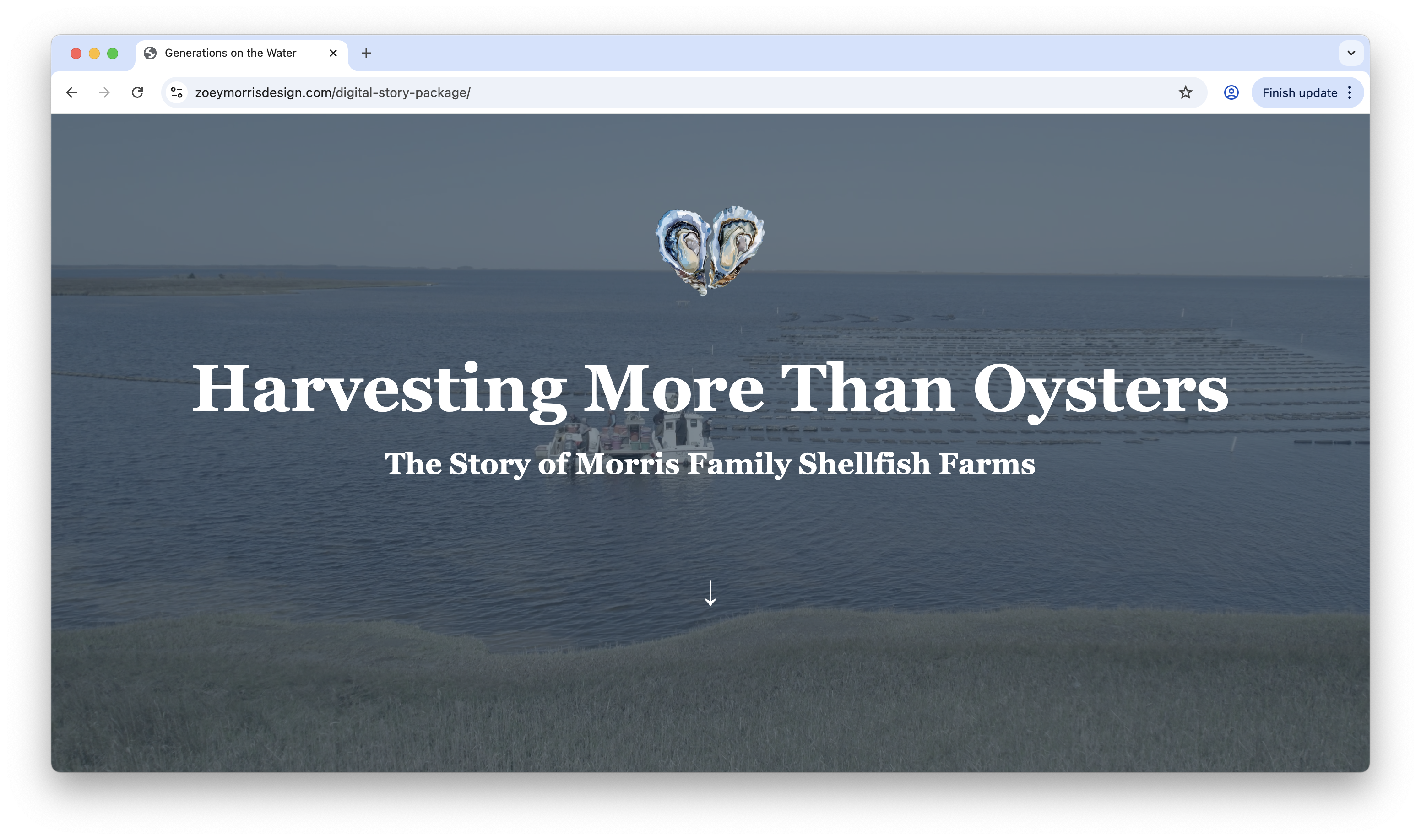Preview of Morris Family Shellfish Farms story